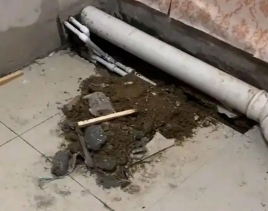 临泽卫生间漏水检测哪家好