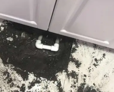临泽查漏水哪家好